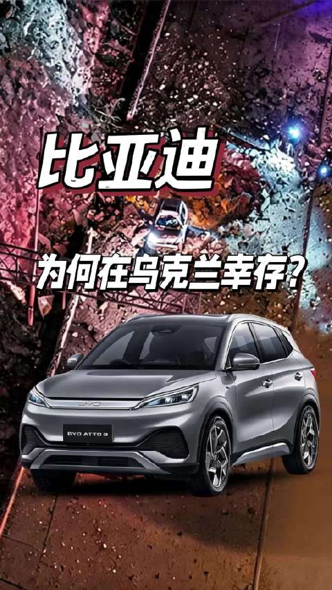 没有官方经销商，全靠平行进口，
