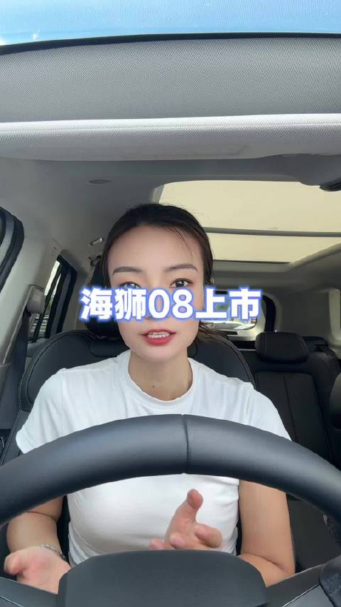 科技旗舰SUV海狮08 上市，这个价格你选大唐还是海狮08