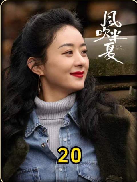 《风吹半夏》第二十集：半夏的事业迎来高光时刻，亲手筑起属于自己的码头