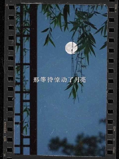 许久未邂逅如此摄人心魄的国风旋律 汪苏泷万妮达思念若是一首诗