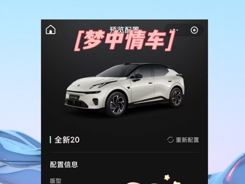 本来还准备等领克20上市再说的
