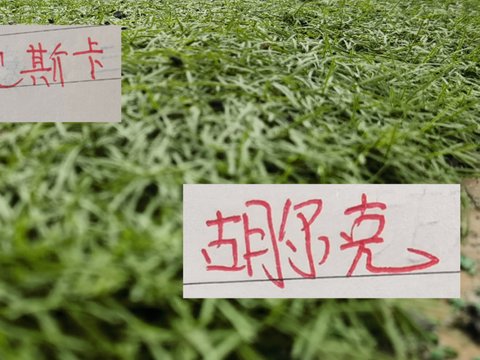 有牌面！海港前名宿奥斯卡35岁生日 得到各方祝福