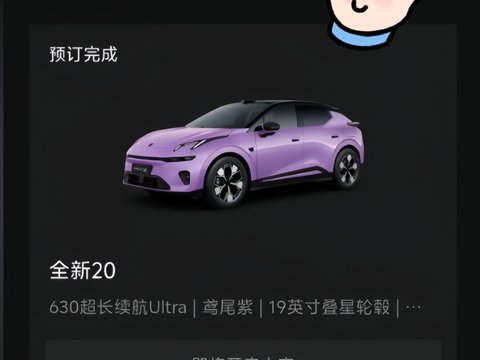 我不纠结了，你们去纠结吧，我已经小定领克20了