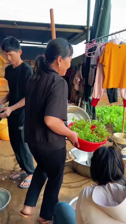 全红婵妈妈翻地种菜，全家享受惬意生活