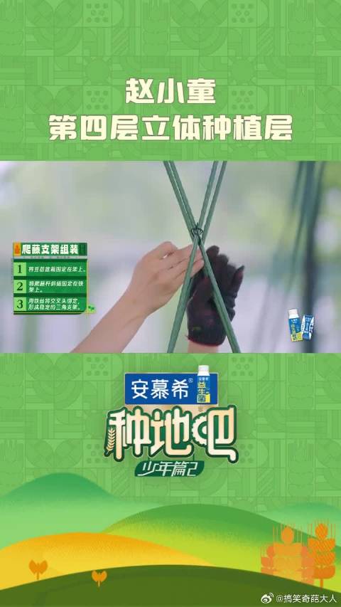 赵小童第四层立体种植层