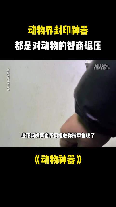 家有液体猫总想越狱，一根毛笔教它做猫