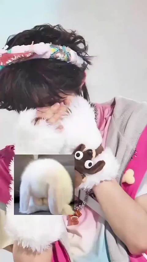 陈奕恒粉丝送玫瑰花表达永不凋零的爱意