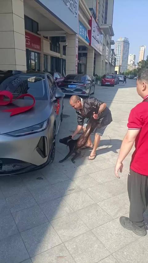 买个新车这样弄，不怕有血光之灾吗？