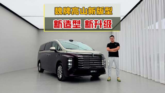 新造型新升级，魏牌高山新版型，静态体验！
