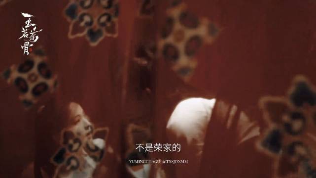 玉茗茶骨 陆江来太会了