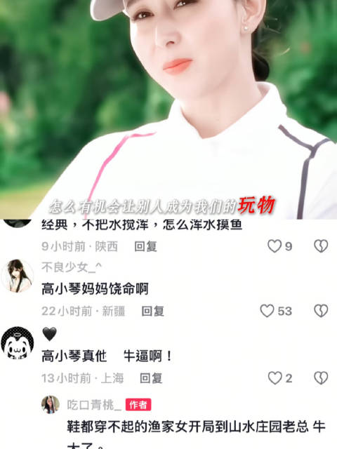 申请成为高总玩物， 胡静 高小琴 人民的名义
