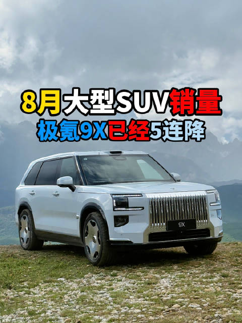 8月大型SUV销量公布，蔚来ES8问界M9稳居前二