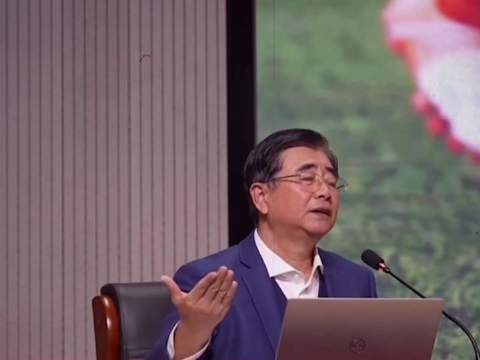 全国各省组建战队征战联赛，最终桂冠得主直接晋升国家队，这波操作你怎么看？