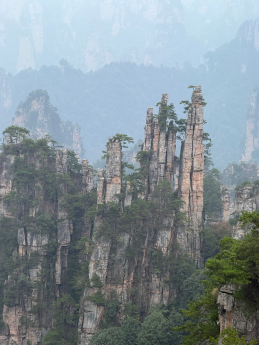 三千奇峰拔地起 闯入了《阿凡达》的悬浮山 虽然但是有雾……下次希望是