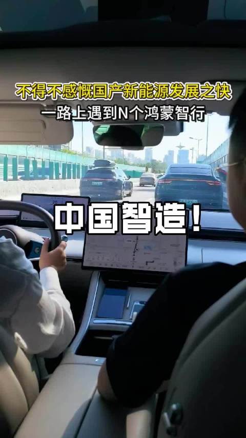 现在国产新能源车越来越多了