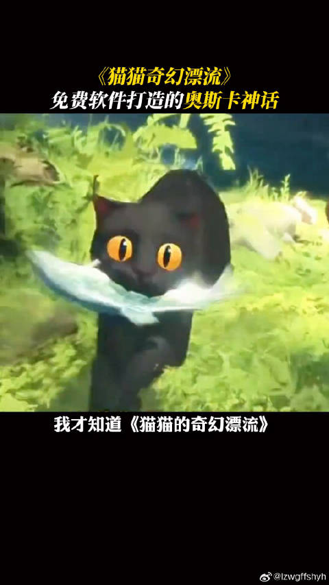 拉脱维亚史上含金量最重的小猫咪是怎么诞生的～奥斯卡微博VC计划微博VC计划