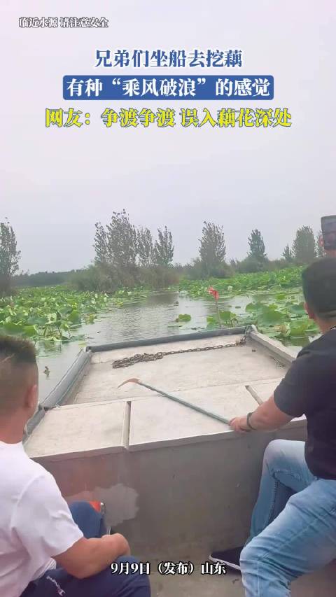 兄弟们坐船去挖藕，有种“乘风破浪”的感觉，网友：争渡争渡，误入藕花深处
