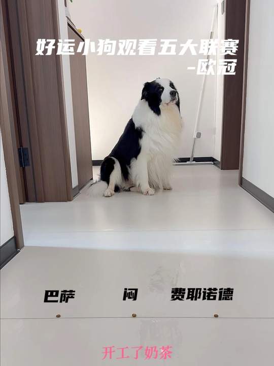R就是让开，懂的都懂， 小狗娱乐，请勿当真