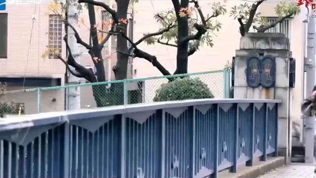 周杰伦谢霆锋相遇，满脑子都是王菲