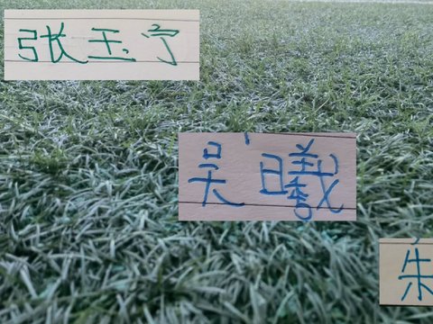 申花的队长 北京国安的射手 能带领U23在亚运会走得更加远吗