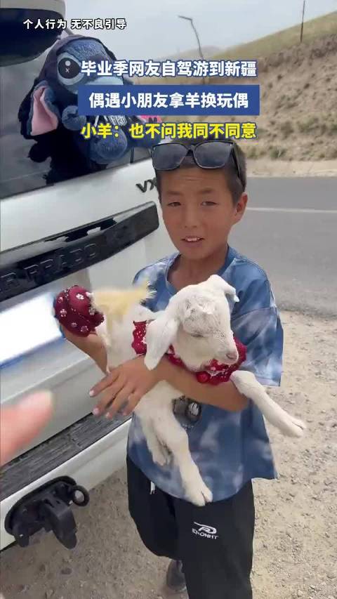 网友自驾游到新疆，偶遇小朋友拿羊换玩偶，小羊：也不问我同不同意
