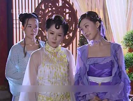 少女为报答公主恩德，在宫墙之内饱尝辛酸与委屈