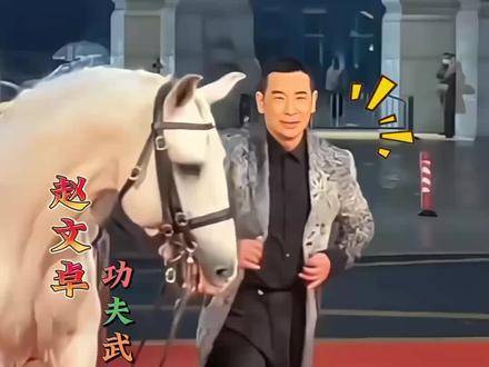 娱乐圈中身怀绝技的13位演员明星，人人功夫了得，兼具文韬武略