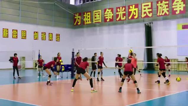 郎平看不下去了，中国排球全线无缘直通奥运