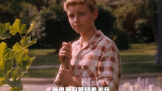 斯人若彩虹，遇上方知有