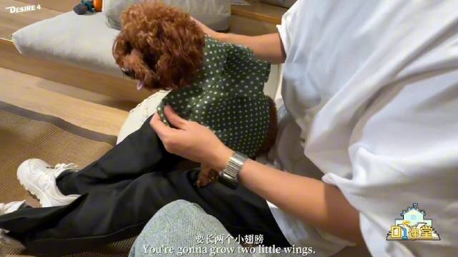来看李沛恩给乐乐穿他亲自做的衣服 好萌啊这一家四口！