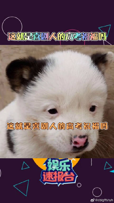 这就是喜剧人的高考祝福明天给我好好考 x玖少年团 董子健