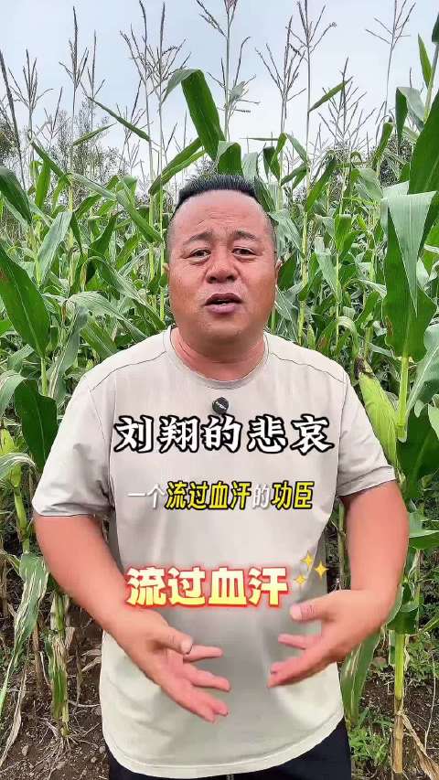 刘翔发文求助 玉米
