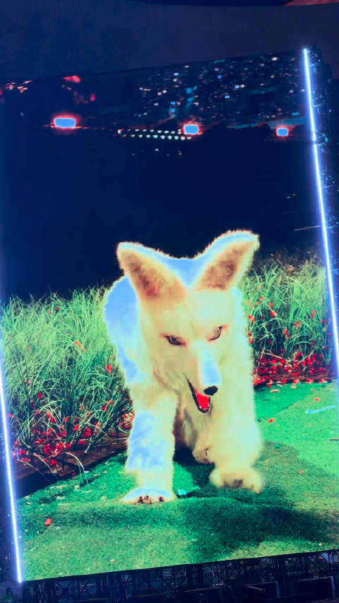 吃面还会喝汤的