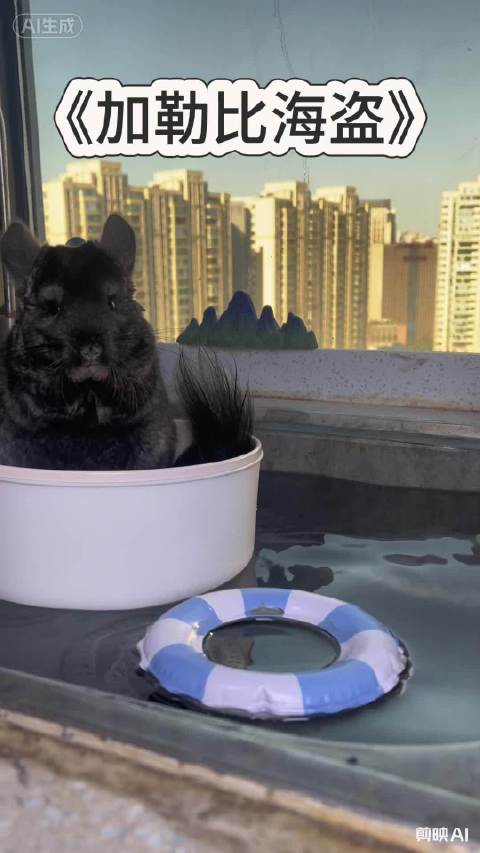龙猫版加勒比海盗