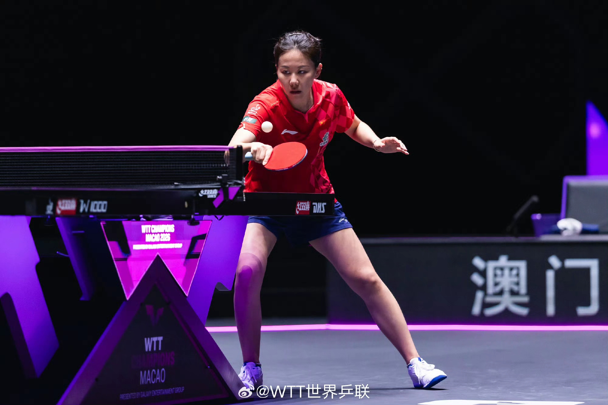 双陈姐妹花联手“抗日”，不惧张本早田能拿下一个算一个！国球汇