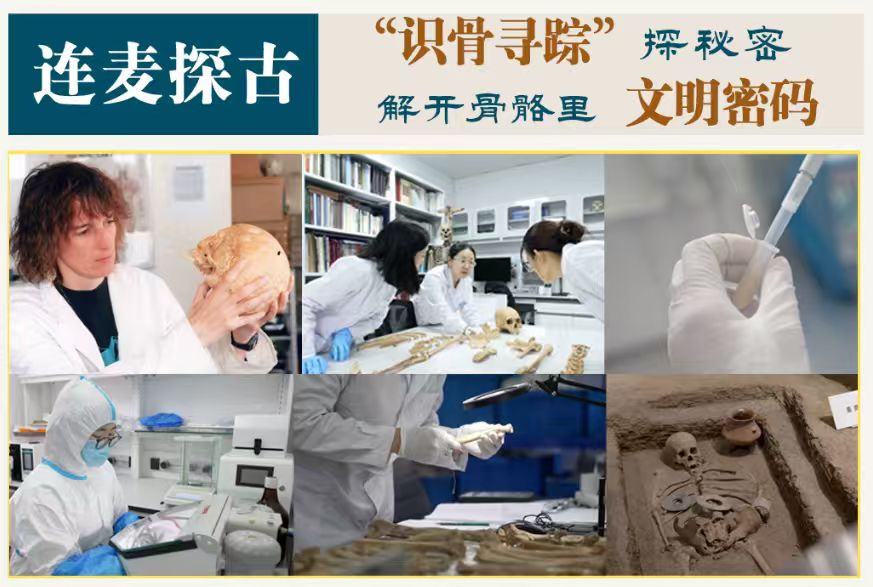 中国考古报道：南山遗址再现东周社会生产生活