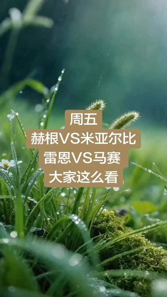 足球 五大联赛 马赛 法甲 赛事