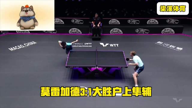 莫雷高德吼叫压制张本智和，澳门冠军赛逆转取胜