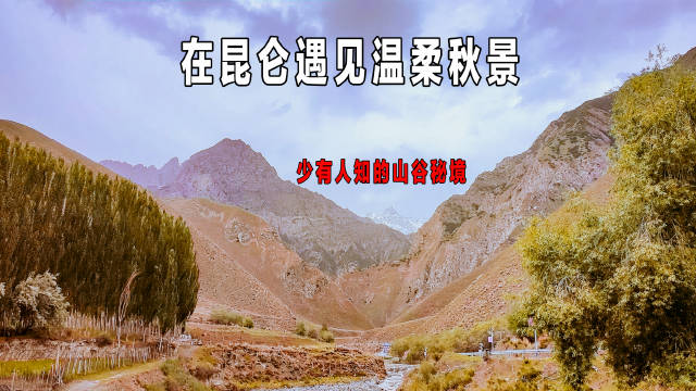 昆仑腹地布琼松柏林秋景如画