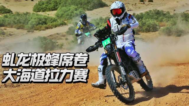 征服2500公里荒野试炼，虬龙极蜂席卷大海道拉力赛新能源组