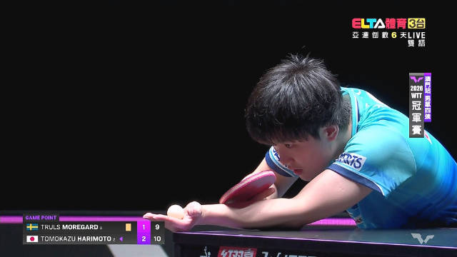 张本智和 vs Truls MOREGARD WTT冠军赛 澳门站 半决赛 20260913