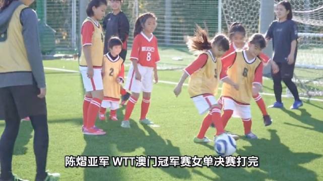 陈熠鏖战七局惜败张本美和，WTT澳门赛获亚军