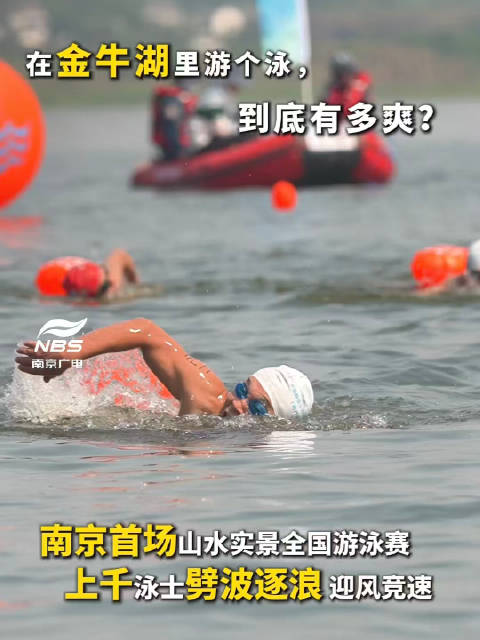 在金牛湖里游个泳，到底有多爽？