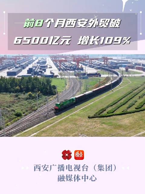 前8个月西安外贸破6500亿元 增长109%