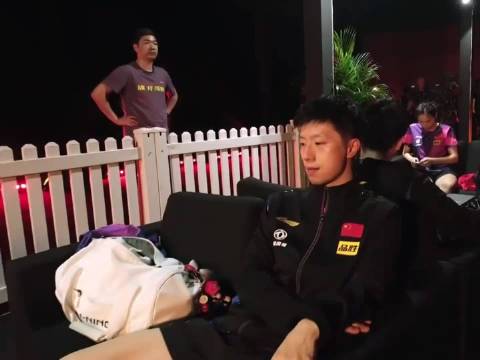 王不见王，顶峰相见，马龙与樊振东的黄金时代
