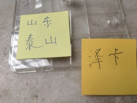 泽卡带伤去东京 克雷桑人在巴塞罗那业务学习