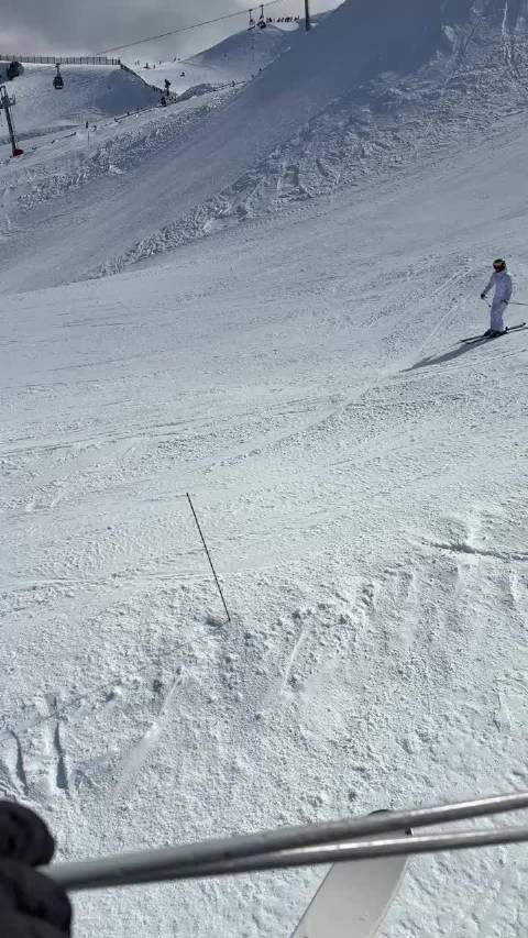 新西兰卡山一大波偶遇在来得路上