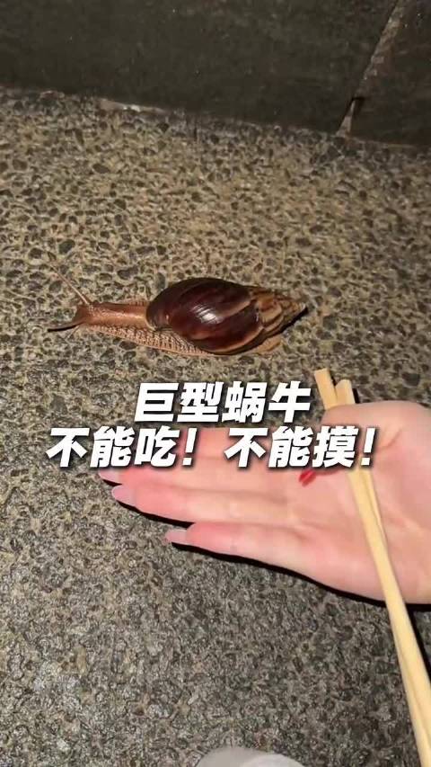 的相关内容，来智搜看看…