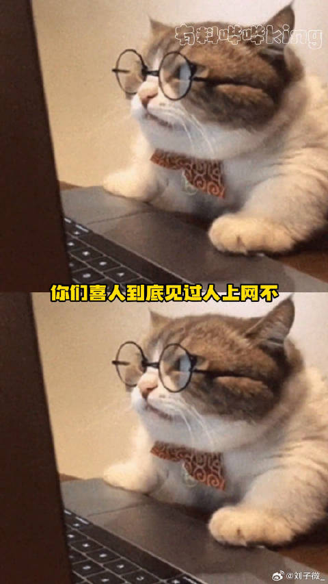 开始怀疑王广才是真太子酷酷的天放搞笑微博VC计划