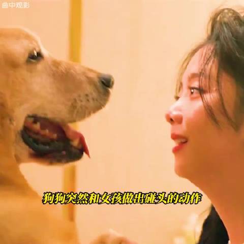 爱你的人离开了，但他的爱从未停止！